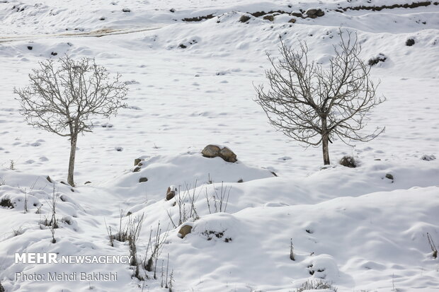 Spring snowfall at heights in Qom prov.