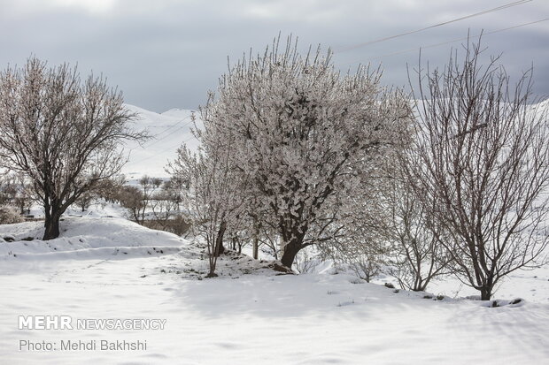 Spring snowfall at heights in Qom prov.