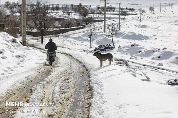 Spring snowfall at heights in Qom prov.