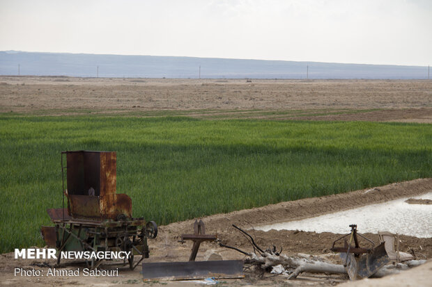 روستای بیابانک سرخه همراه پویش «در خانه بمانیم»