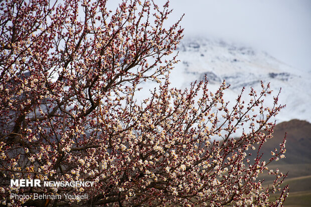 Beautiful landscapes of 'Qaleh-ye Ashna Khvor' in Khomeyn
