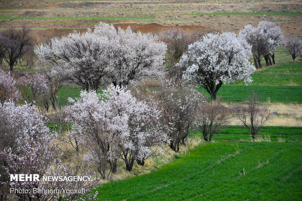 Beautiful landscapes of 'Qaleh-ye Ashna Khvor' in Khomeyn
