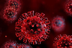 داروهای استروئیدی ریسک ابتلا به کروناویروس را افزایش می دهند