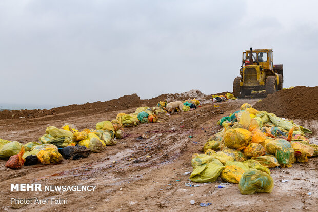 تولید زباله در ایران بالاتر از استاندارد جهانی نیست
