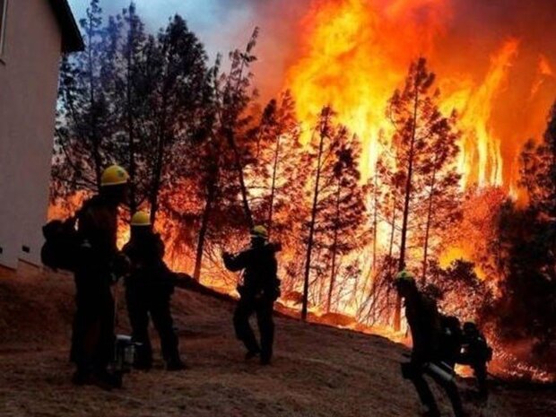 چین میں جنگلات میں لگی آگ کو قابو پانے کے دوران 19 اہلکار ہلاک