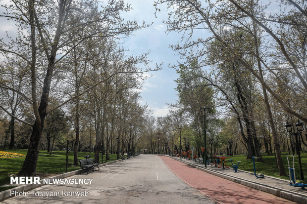 Parks void of people on Nature Day amid Coronavirus
