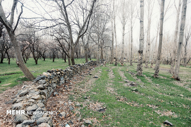 Iranians do not celebrate Nature Day in fight against coronvairus