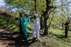 شیخ داش