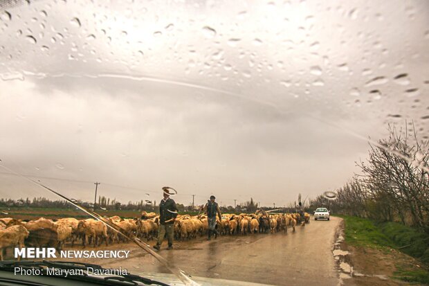 طبیعت بهار بجنورد