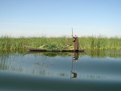 Iran, UNDP sign MOU to revive Hamoun wetland