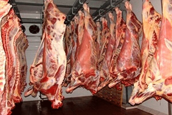 امسال ۹۰ هزار تن گوشت قرمز و سفید در استان قزوین تولید می‌شود