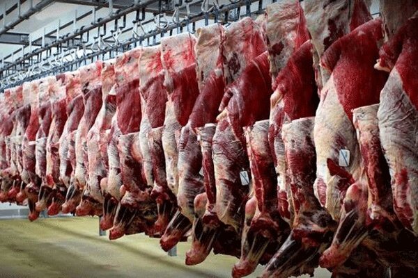 برنامه سازمان امور عشایری برای افزایش تولید گوشت قرمز در کشور