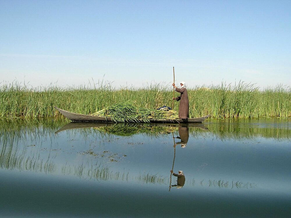 Iran, UNDP sign MOU to revive Hamoun wetland - Tehran Times