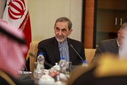 Path of Resistance to continue until goals, aspirations realized: Velayati
