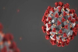 جموں کشمیر میں کورونا وائرس کی نئی قسم پھیلنے کا انکشاف