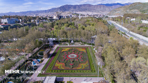 Tulip flower garden in Karaj void of visitors