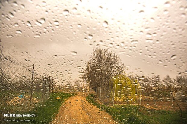 بارندگی و افت محسوس دما/کشاورزان اقدامات پیشگیرانه را انجام دهند