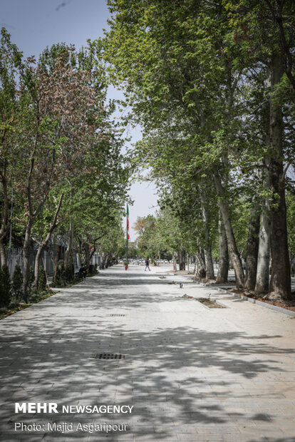 Shahriar St. housing Vahdat Hall paved with cobblestone
