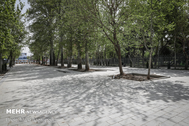 Shahriar St. housing Vahdat Hall paved with cobblestone
