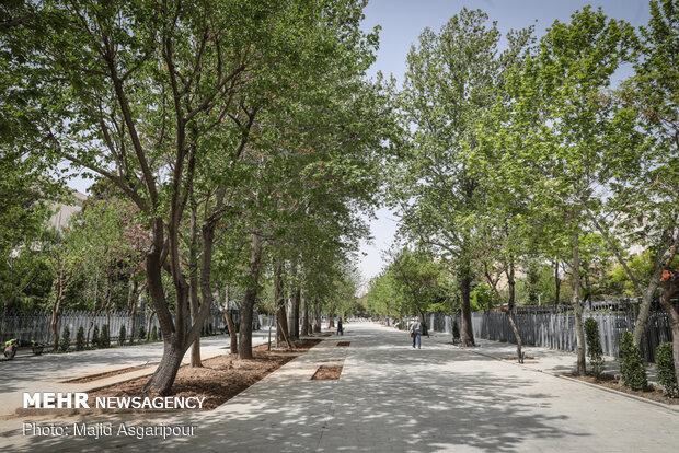 Shahriar St. housing Vahdat Hall paved with cobblestone
