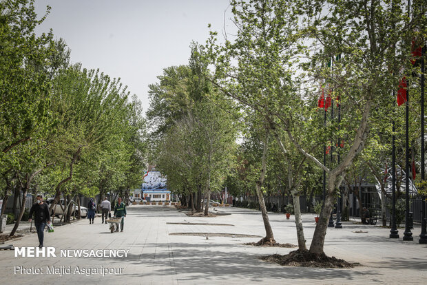 Shahriar St. housing Vahdat Hall paved with cobblestone
