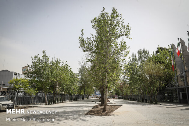 Shahriar St. housing Vahdat Hall paved with cobblestone
