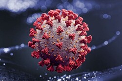 نقش ژنتیک در ابتلا به ویروس کرونا بررسی می شود