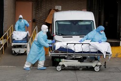 نیو یارک میں ایک مردہ خانے کے باہر کھڑے ٹرکوں سے درجنوں لاشیں برآمد