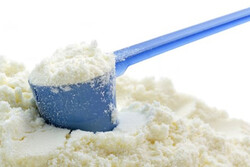 دولت نرخ جدید شیرخشک را تعیین تکلیف کند/ تولیدکنندگان بلاتکلیفند