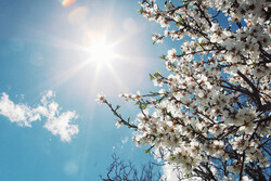 Enchanting springtime landscapes in Hamedan