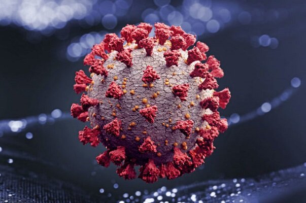 بیلجیئم میں کورونا وائرس سے7500 سے زائد افراد ہلاک