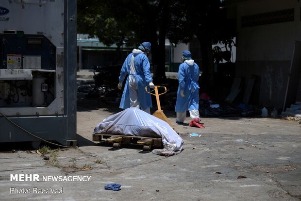 ایکوا ڈور میں کورونا وائرس سے مرنے والوں کی لاشیں سڑکوں پر پڑی ہیں