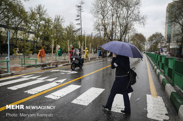 Rain freshens up Tehran 