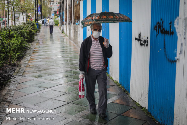 Rain freshens up Tehran 