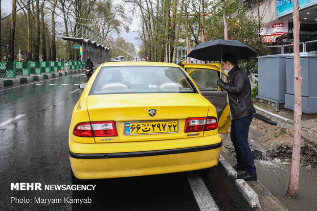 Rain freshens up Tehran 