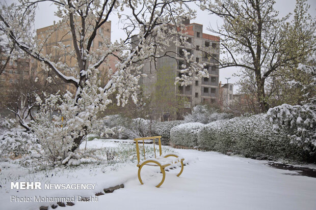 Springtime snow falls across Ardebil
