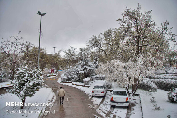 بارش برف در نوزدهمین روز از فصل بهار در اردبیل