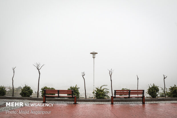 Tehran drowned in fog