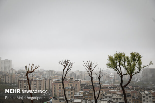 Tehran drowned in fog