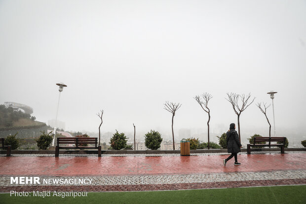 Tehran drowned in fog