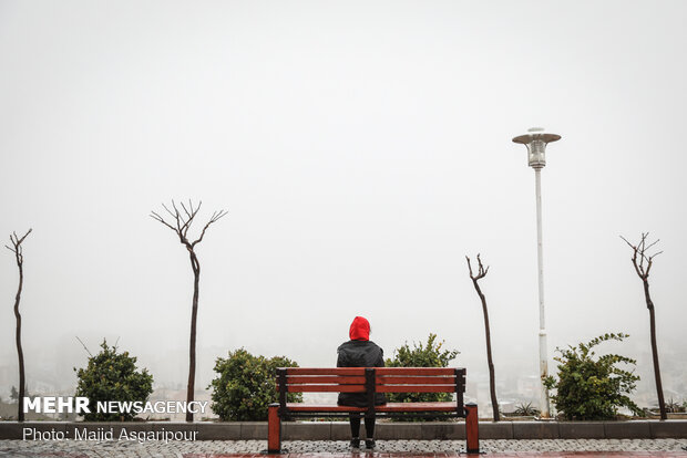 Tehran drowned in fog