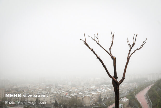 Tehran drowned in fog