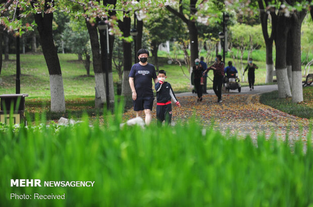 بازگشت زندگی به شهر ووهان چین