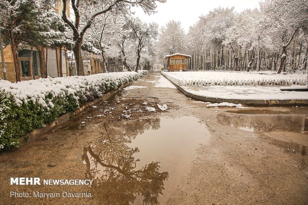 Rare spring snow whitens Bojnourd
