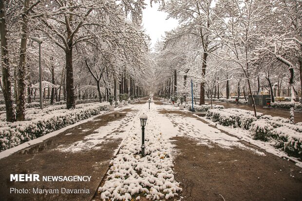 Rare spring snow whitens Bojnourd
