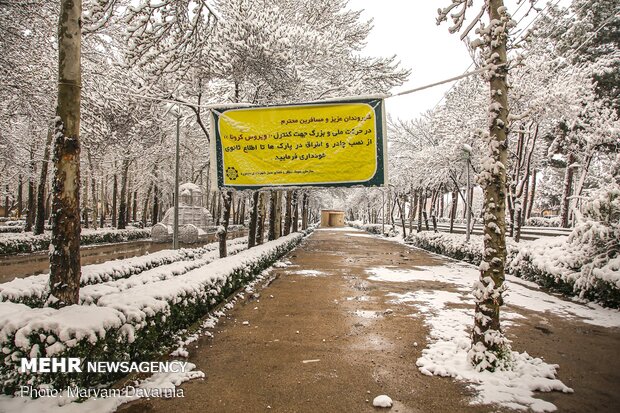 Rare spring snow whitens Bojnourd
