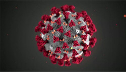 5 گرام ڤایرۆسی کۆرۆنا هەموو جیهانی تێکدا