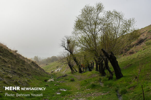 Arak heights in fog