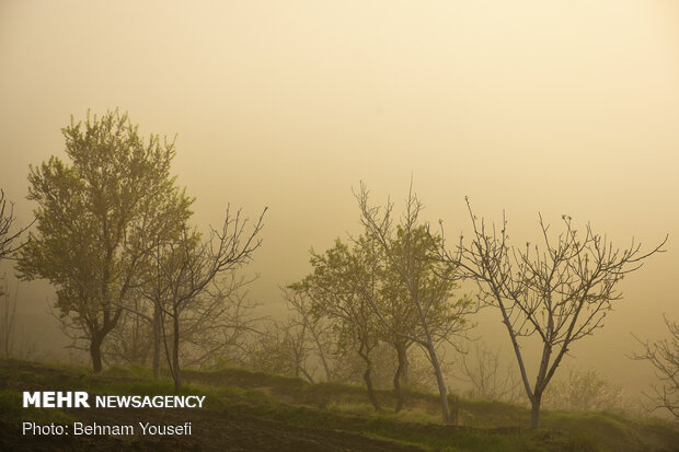 Arak heights in fog