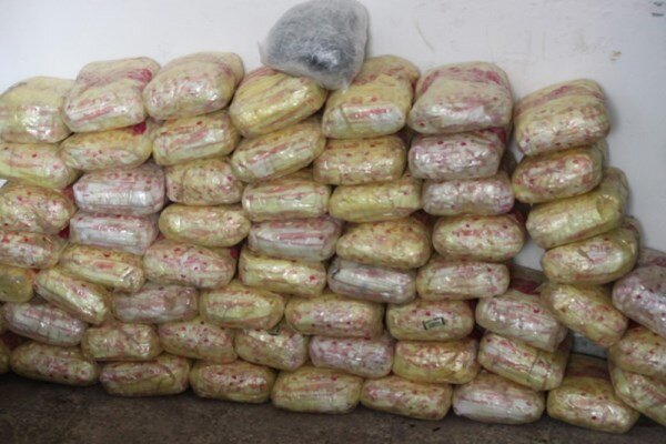 Iranian police bust over 17 tons of illicit drugs in a week